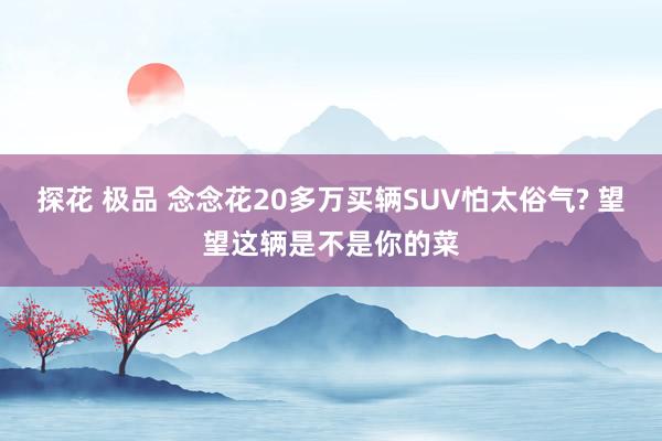 探花 极品 念念花20多万买辆SUV怕太俗气? 望望这辆是不是你的菜