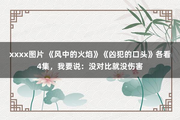 xxxx图片 《风中的火焰》《凶犯的口头》各看4集，我要说：没对比就没伤害