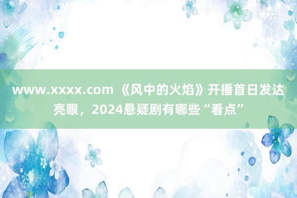 www.xxxx.com 《风中的火焰》开播首日发达亮眼，2024悬疑剧有哪些“看点”