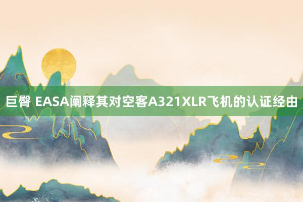 巨臀 EASA阐释其对空客A321XLR飞机的认证经由