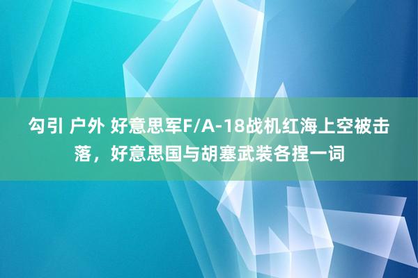 勾引 户外 好意思军F/A-18战机红海上空被击落，好意思国与胡塞武装各捏一词