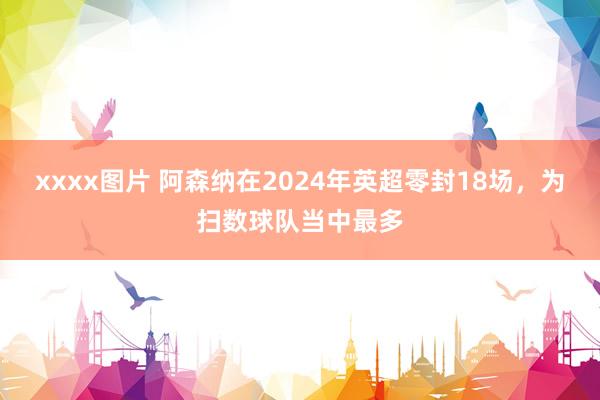 xxxx图片 阿森纳在2024年英超零封18场，为扫数球队当中最多