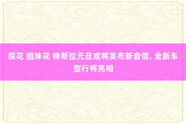 探花 姐妹花 特斯拉元旦或将发布新音信， 全新车型行将亮相