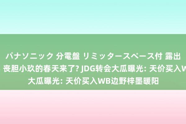 パナソニック 分電盤 リミッタースペース付 露出・半埋込両用形 丧胆小玖的春天来了? JDG转会大瓜曝光: 天价买入WB边野梓墨暖阳