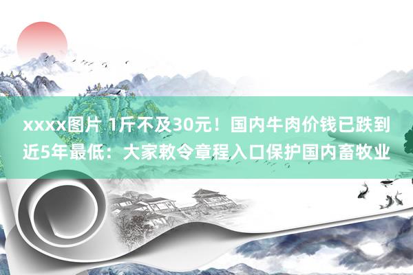 xxxx图片 1斤不及30元！国内牛肉价钱已跌到近5年最低：大家敕令章程入口保护国内畜牧业