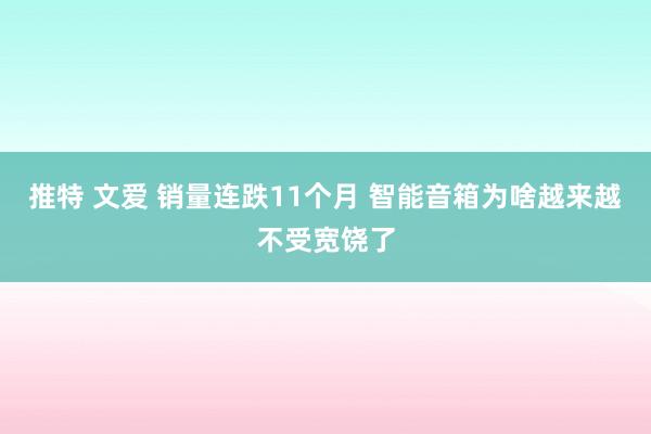 推特 文爱 销量连跌11个月 智能音箱为啥越来越不受宽饶了