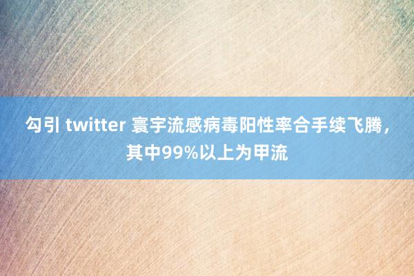 勾引 twitter 寰宇流感病毒阳性率合手续飞腾，其中99%以上为甲流