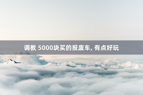 调教 5000块买的报废车， 有点好玩