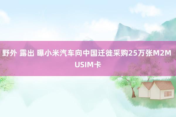 野外 露出 曝小米汽车向中国迁徙采购25万张M2M USIM卡