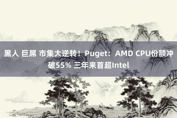 黑人 巨屌 市集大逆转！Puget：AMD CPU份额冲破55% 三年来首超Intel