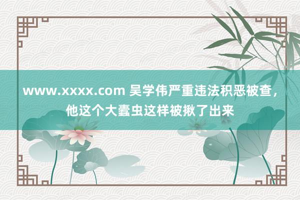 www.xxxx.com 吴学伟严重违法积恶被查，他这个大蠹虫这样被揪了出来