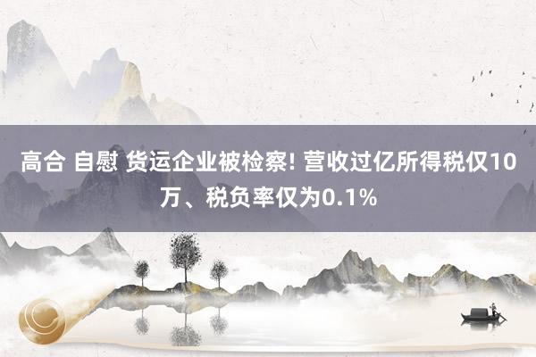 高合 自慰 货运企业被检察! 营收过亿所得税仅10万、税负率仅为0.1%