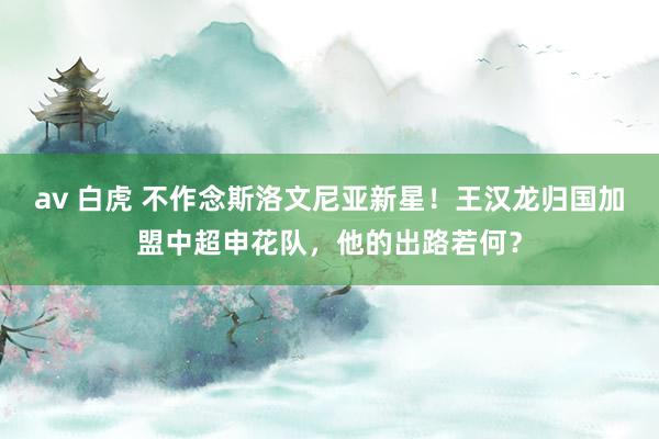 av 白虎 不作念斯洛文尼亚新星！王汉龙归国加盟中超申花队，他的出路若何？