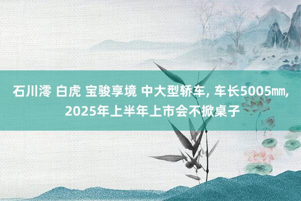 石川澪 白虎 宝骏享境 中大型轿车， 车长5005㎜， 2025年上半年上市会不掀桌子